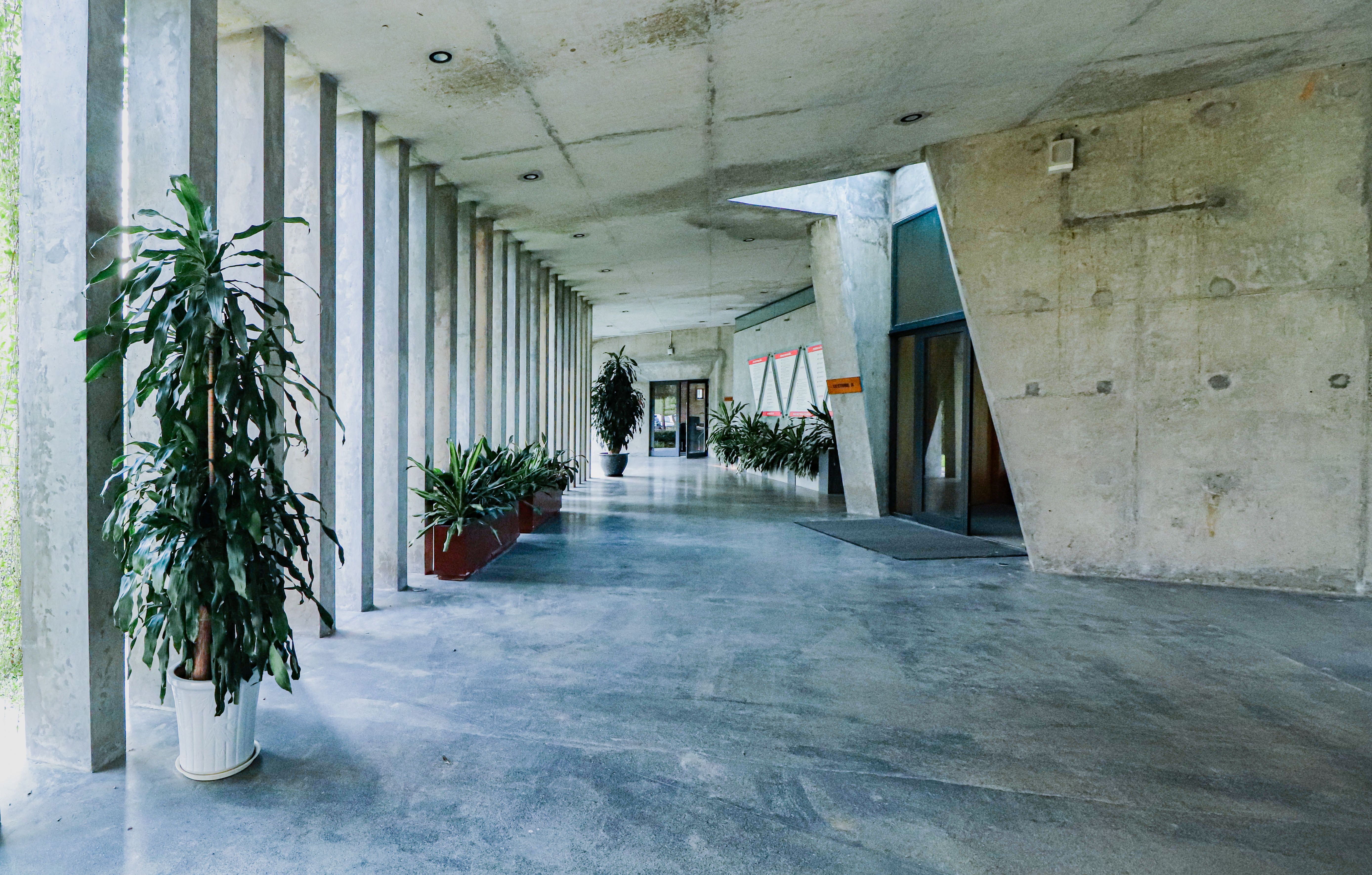 Piso de cimento queimado sala moderna industrial