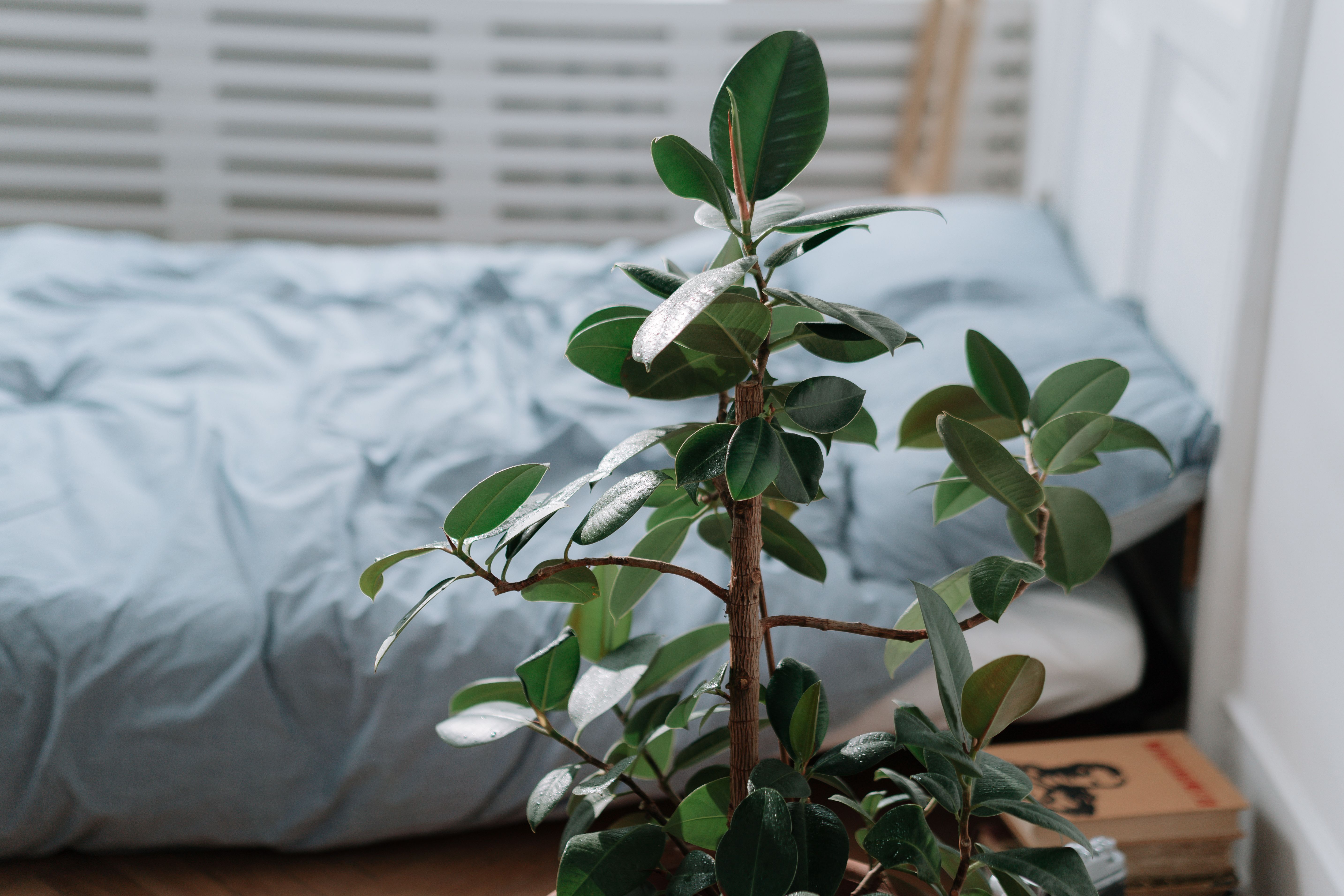 Quarto pequeno moderno decoração minimalista