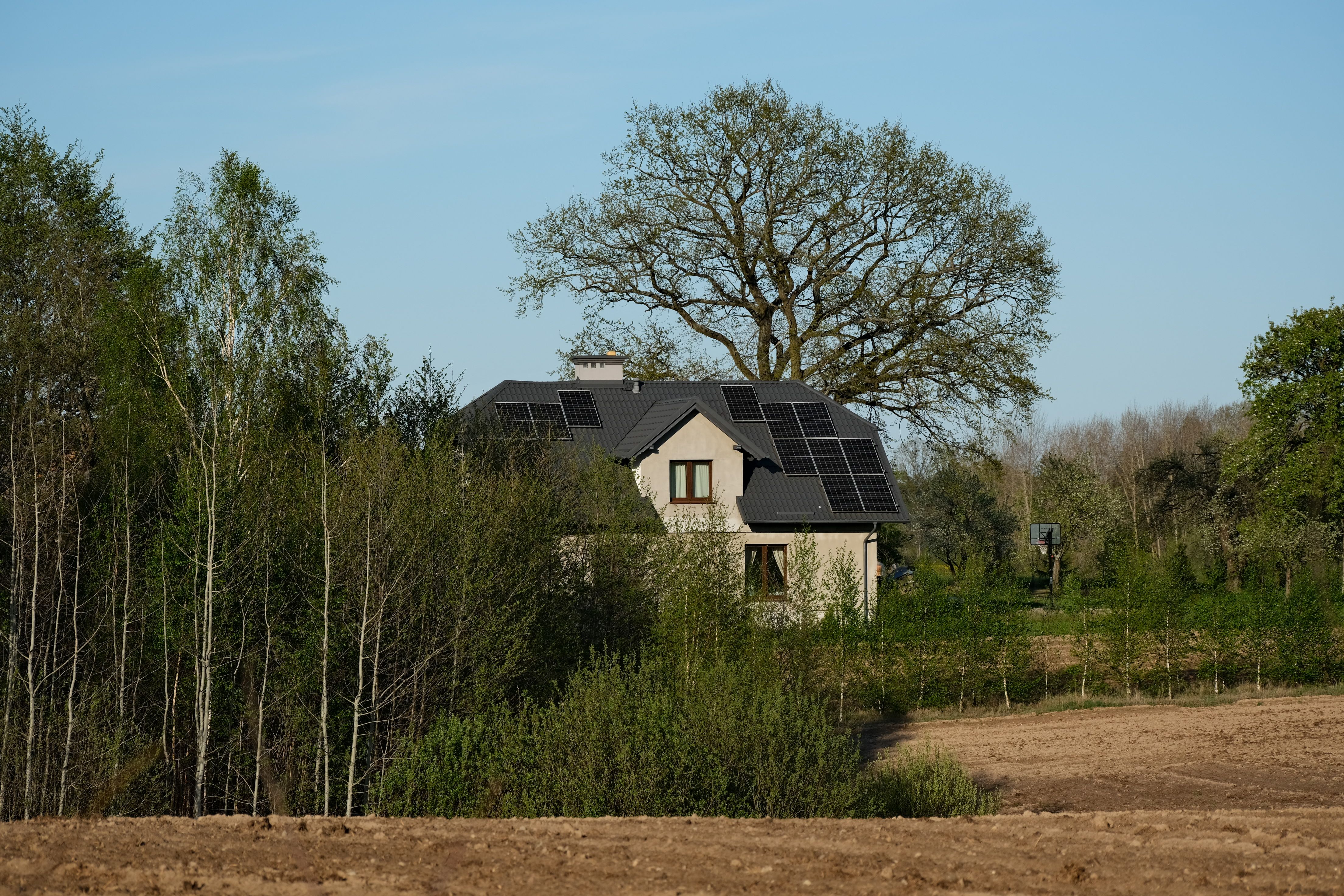 Ambiente doméstico sustentável com materiais naturais e plantas
