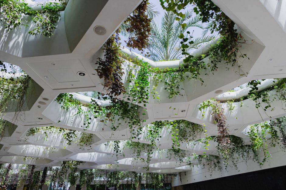 Ambiente interno biofílico com plantas, luz natural e materiais naturais
