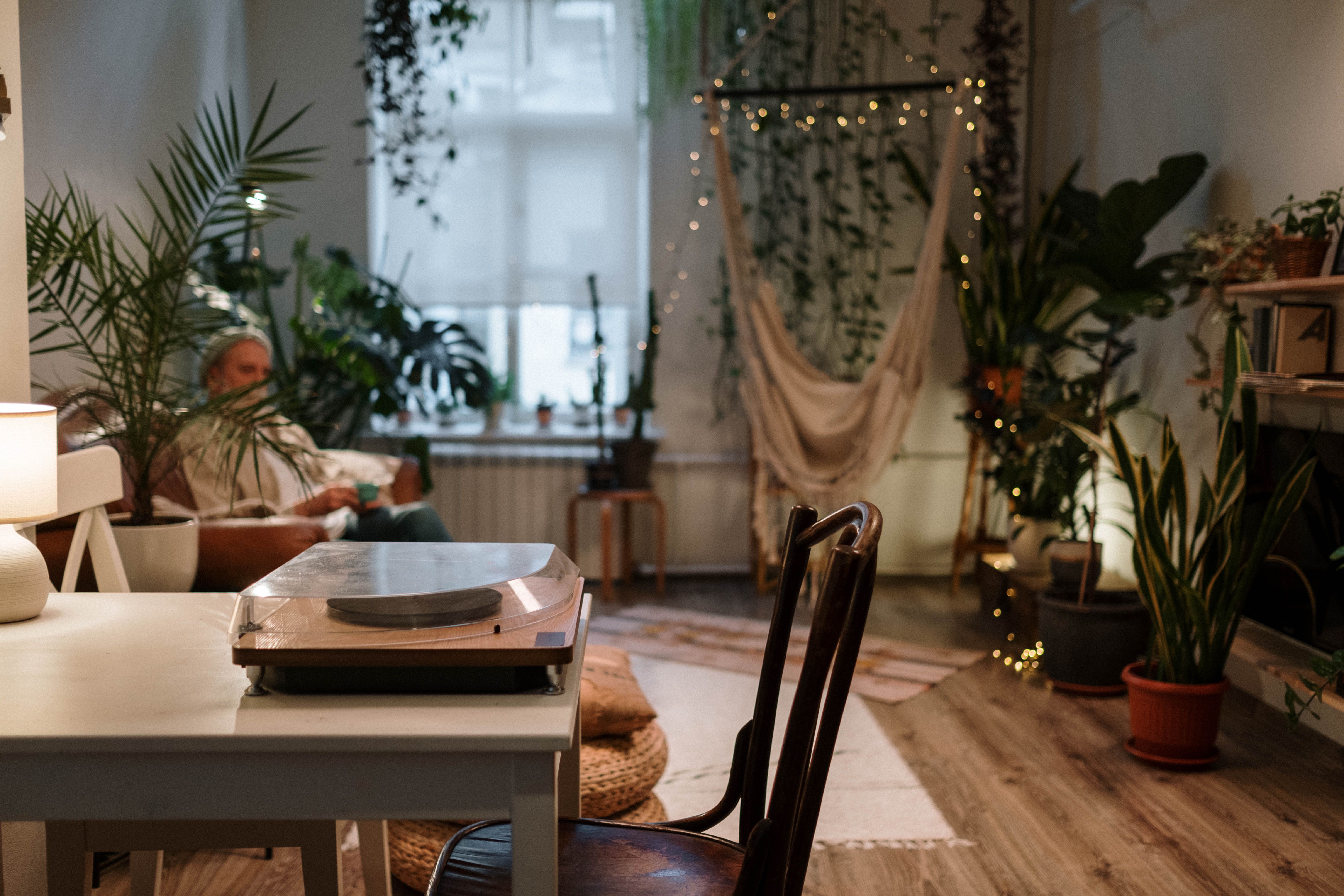 Plantas variadas compondo decoração boho em ambiente interno