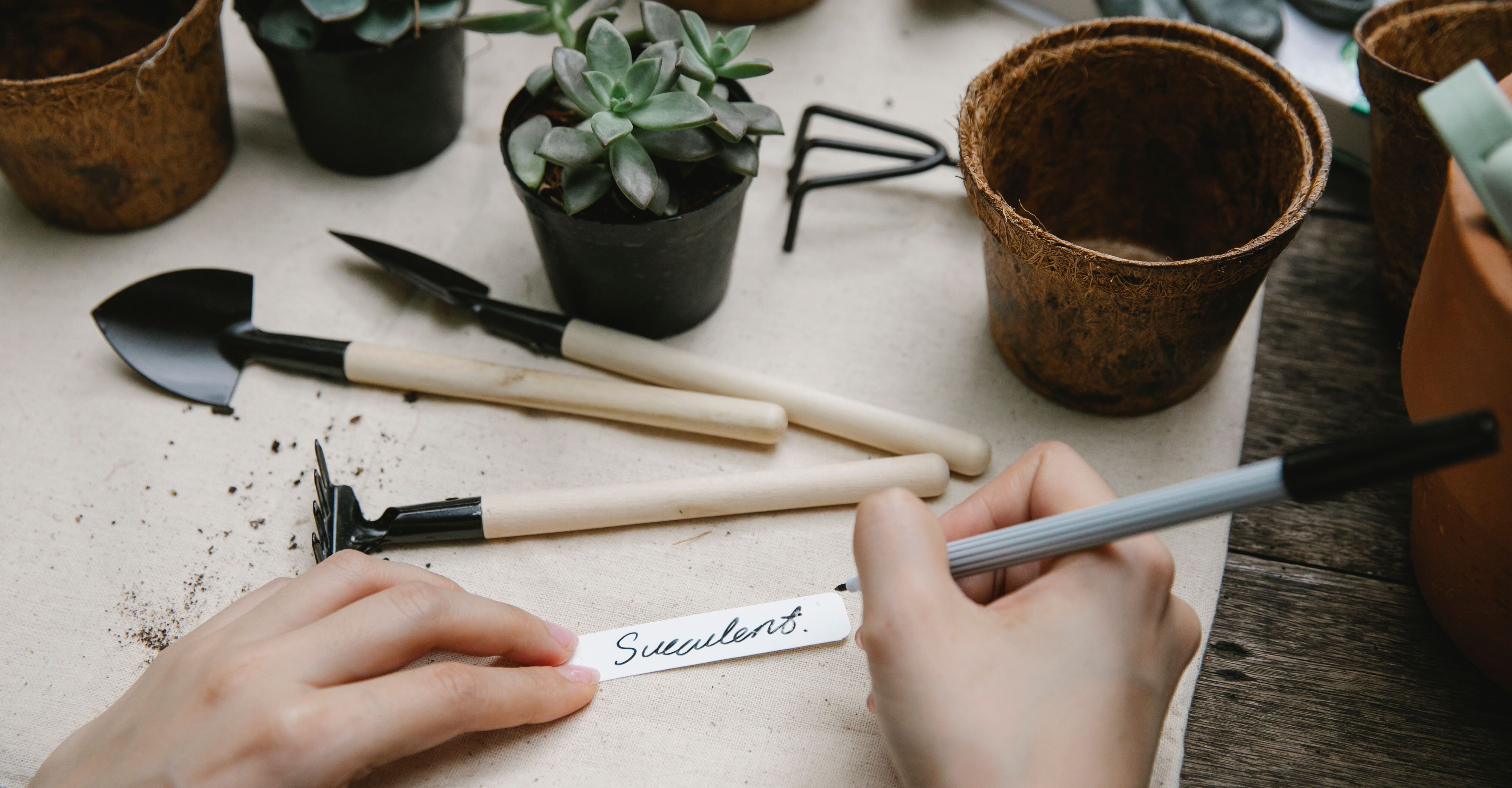 Ferramentas de jardinagem e materiais para projeto DIY