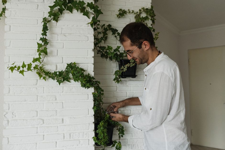 Jardim Vertical DIY: Como Criar em Casa Passo a Passo