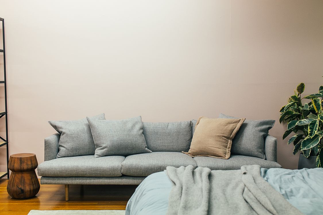Soft gray sofa with cushions and comfortable bed with blanket in modern apartmen