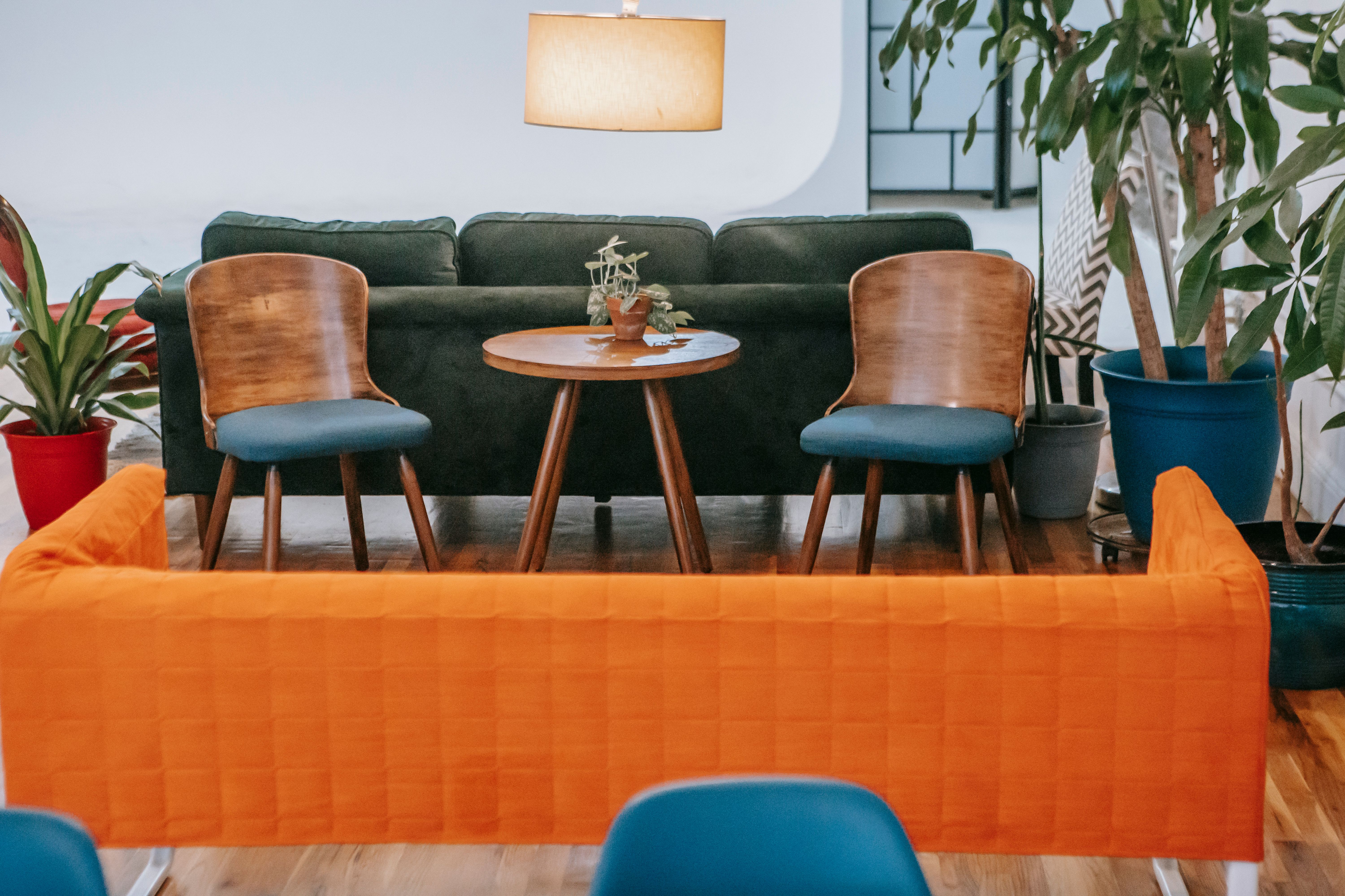 Sala de estar aconchegante decorada com plantas de interior