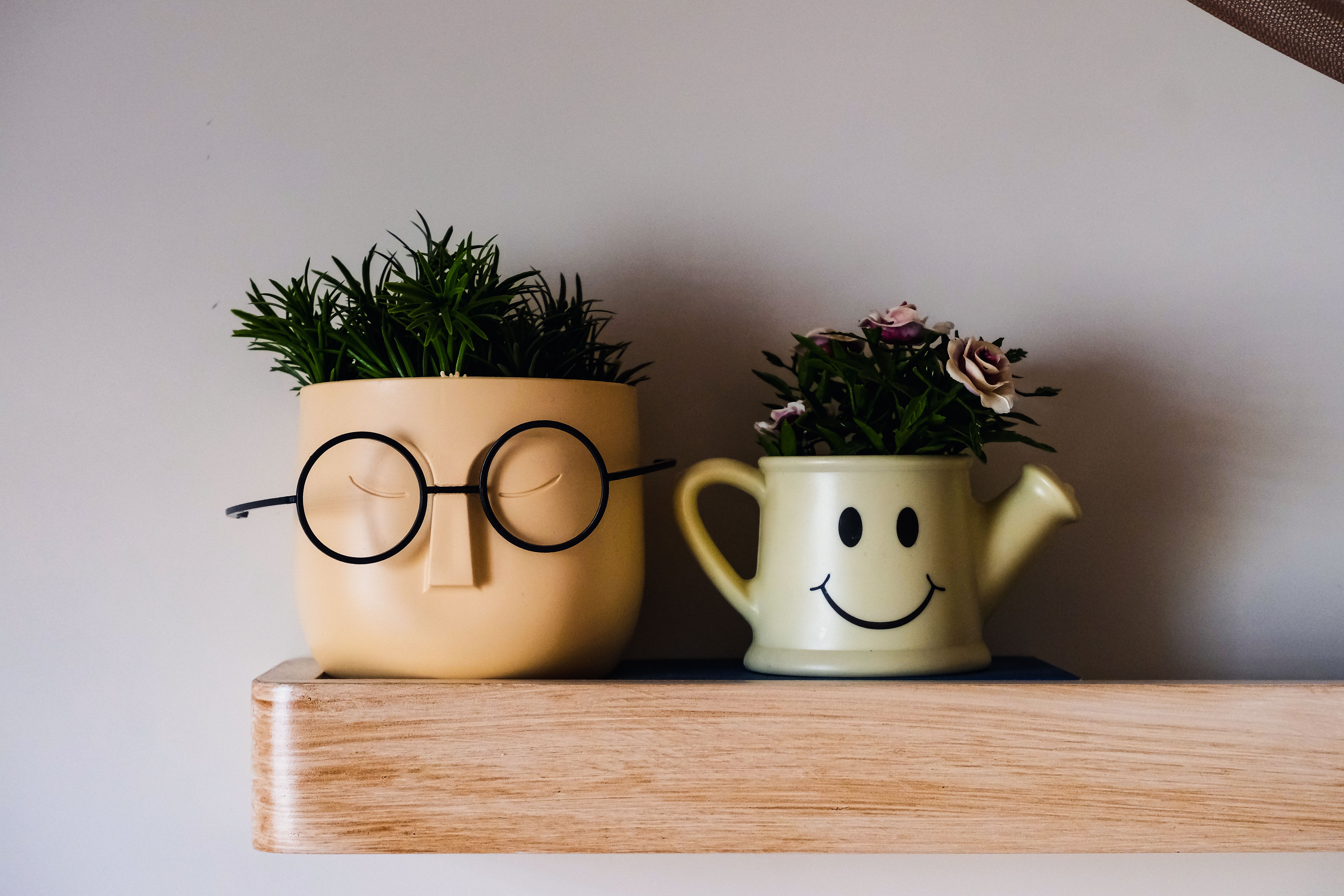 Vasos de plantas organizados em prateleira decorativa