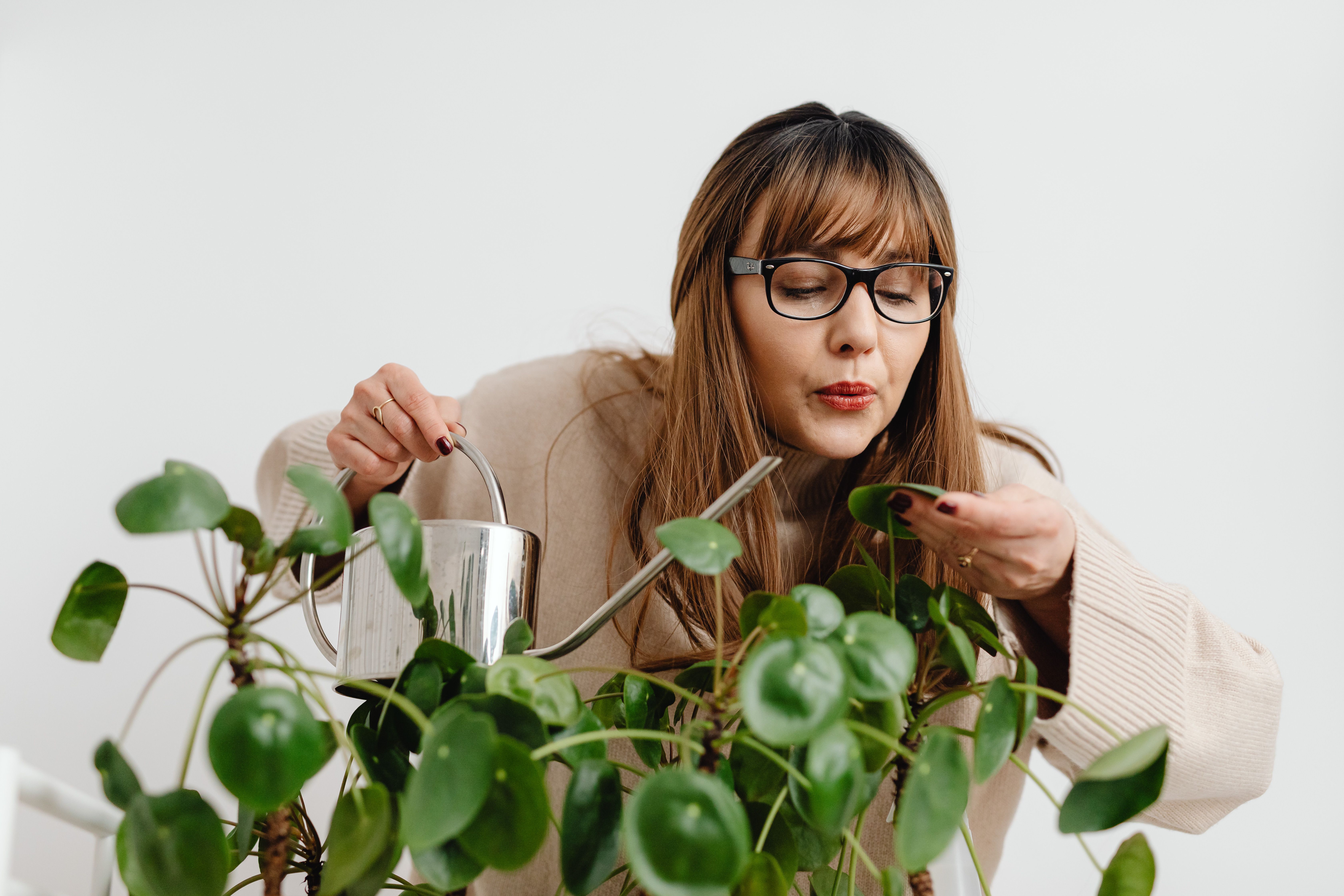 Regando planta de interior com cuidado