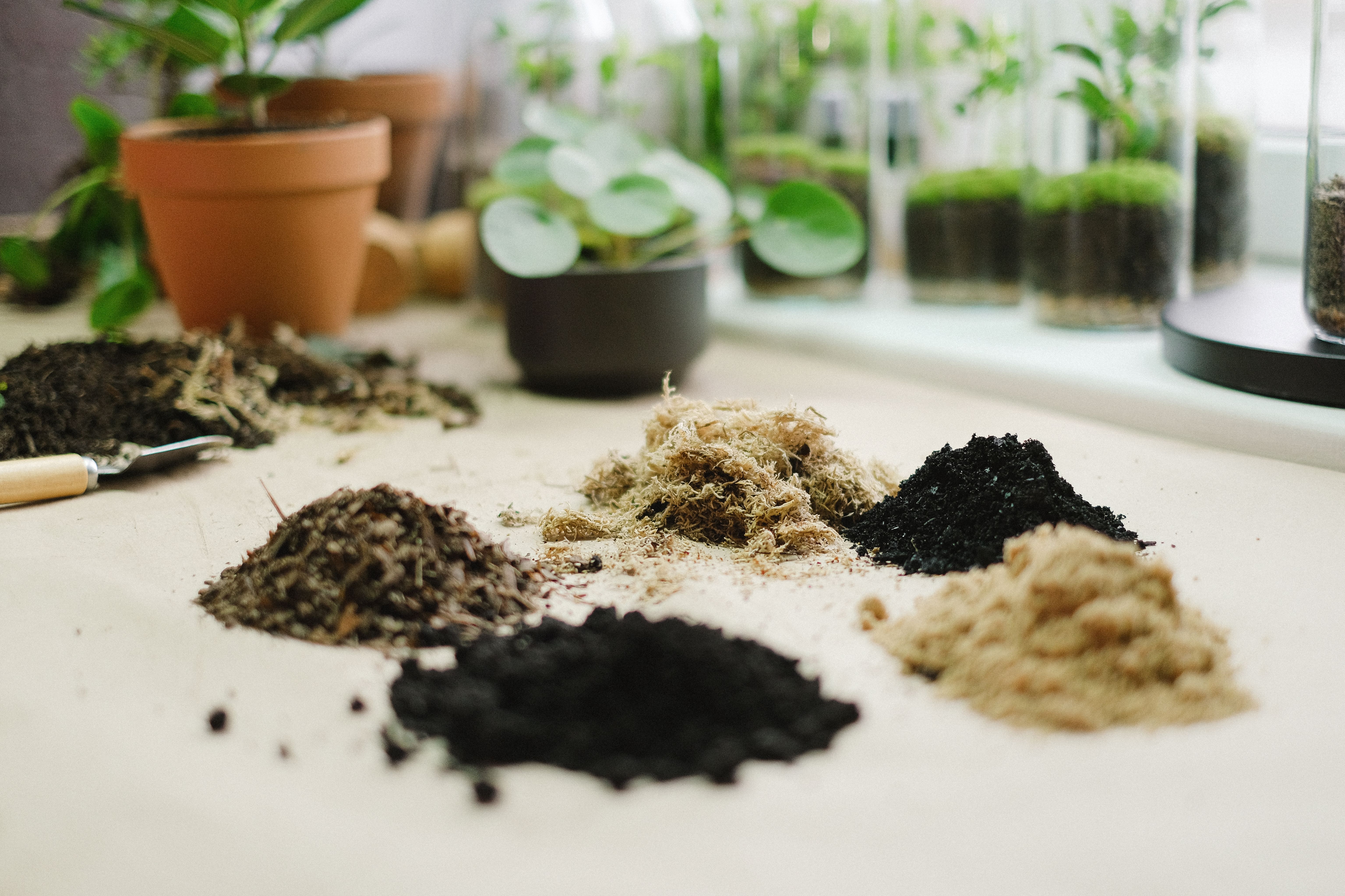 Materiais e suprimentos para montar terrário em camadas