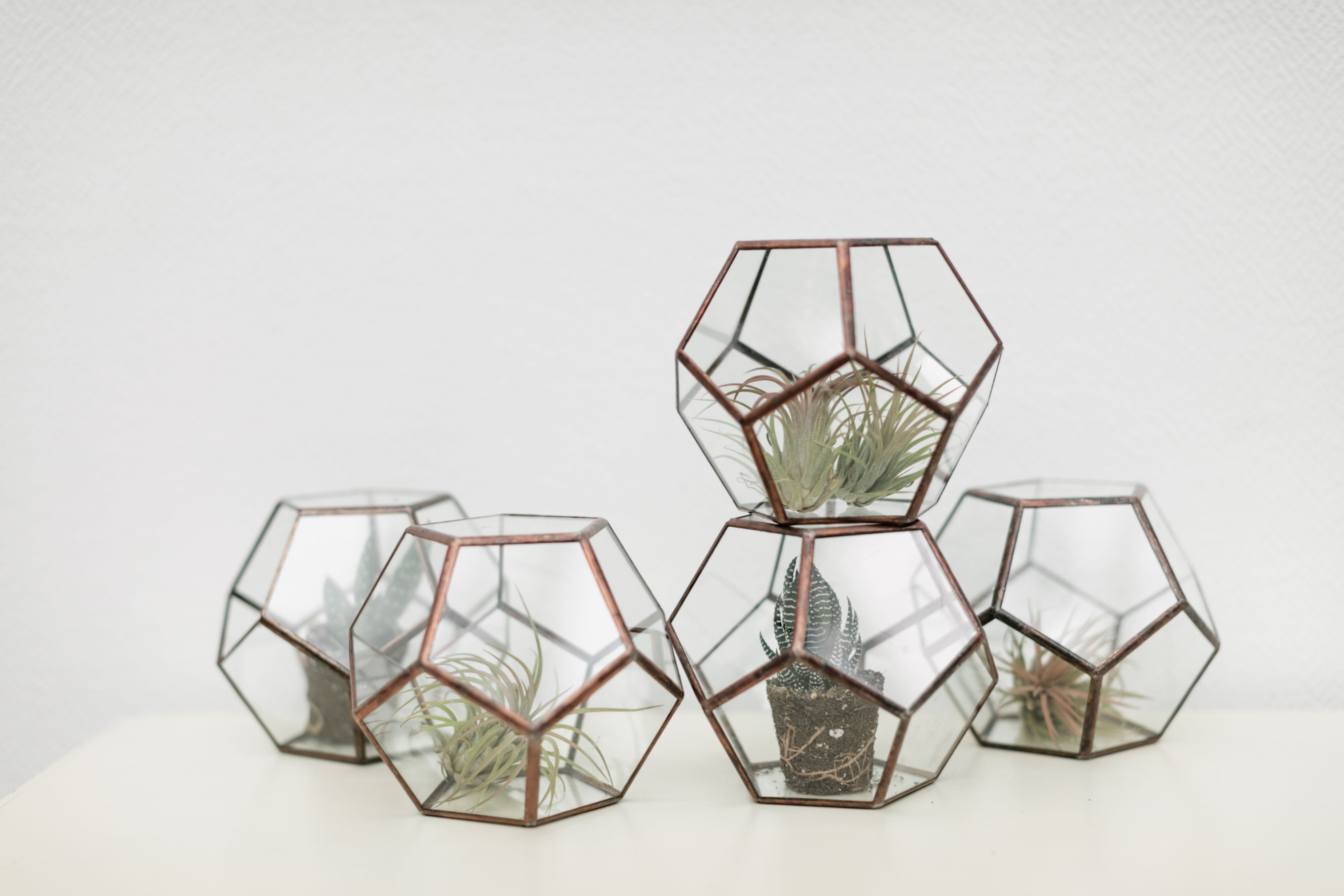 Terrário pequeno sobre mesa de trabalho como decoração