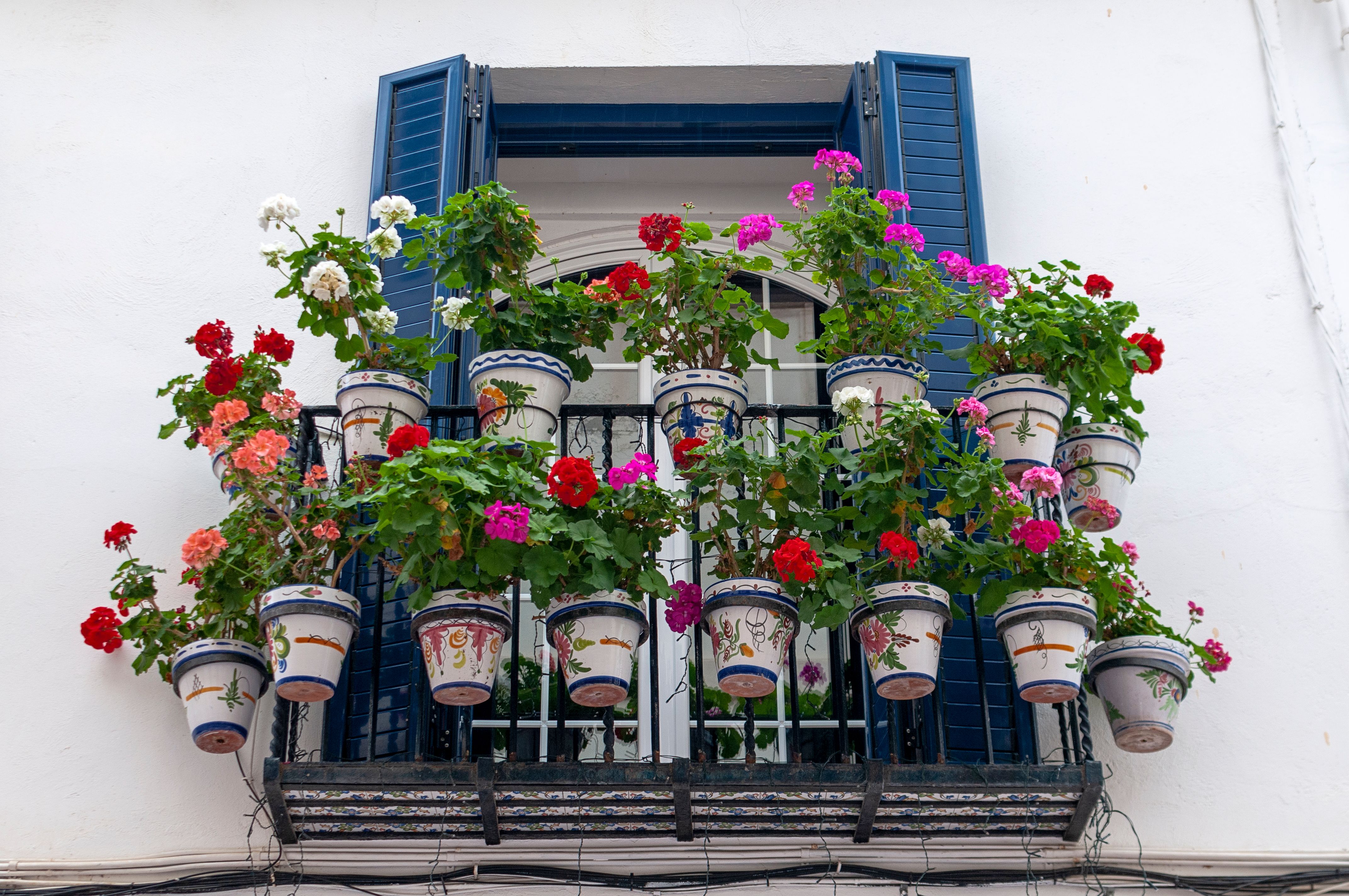 Plantas decorando varanda com vasos e jardim vertical