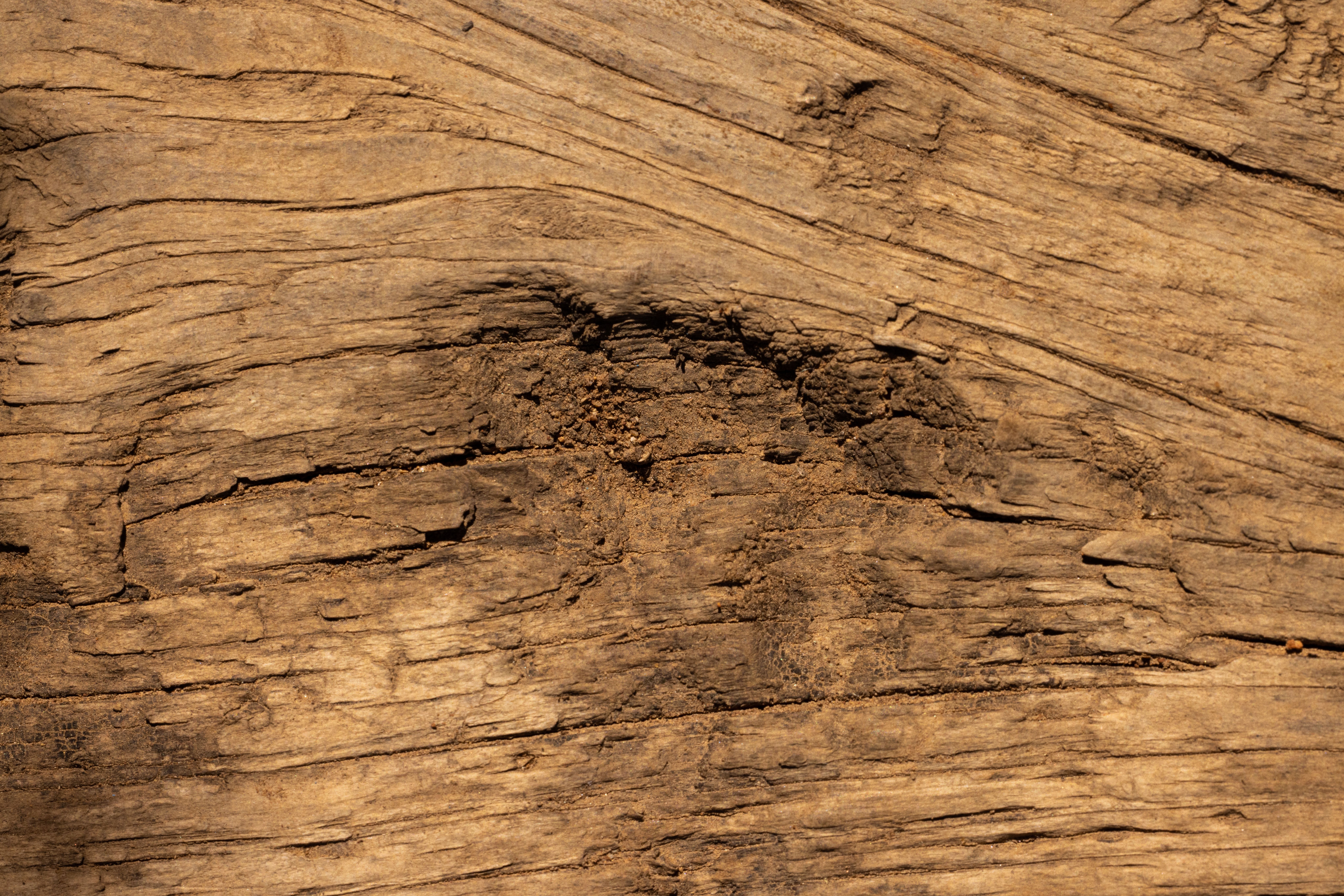 Textura detalhada de madeira natural com nós e veios aparentes