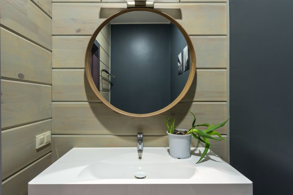 Plantas decorativas em banheiro
