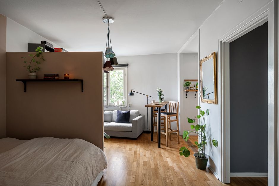 Cantinho aconchegante de apartamento pequeno com plantas em prateleira