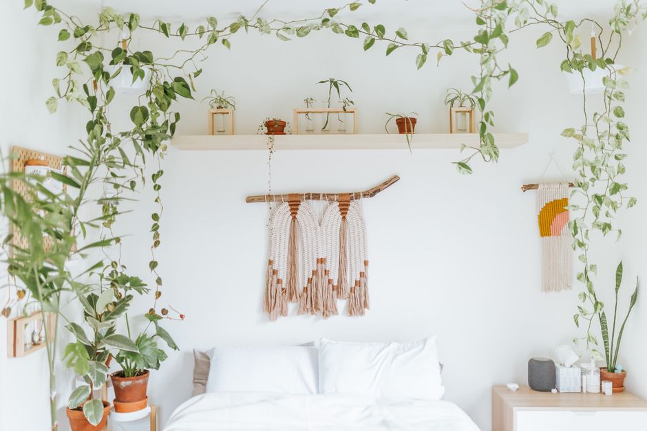 Plantas penduradas em suporte de macramê estilo boho