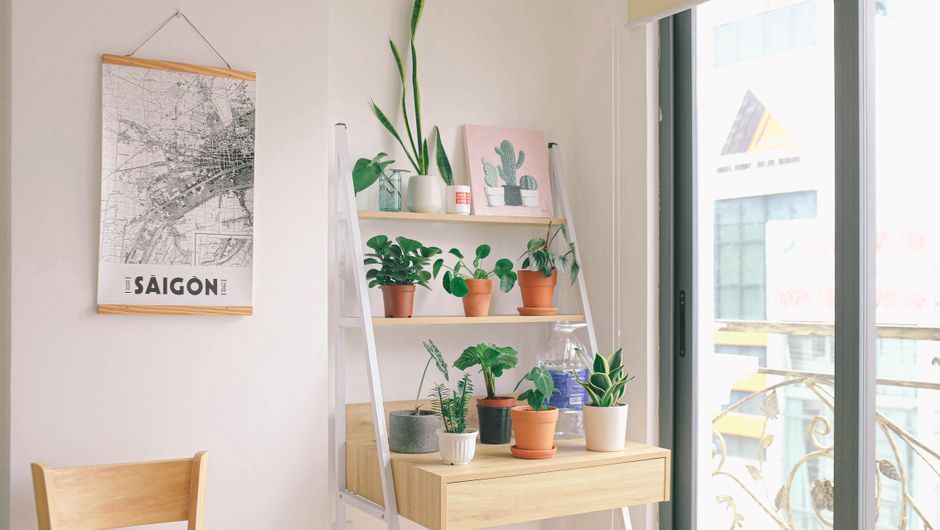 Plantas em suportes decorativos dentro de apartamento pequeno