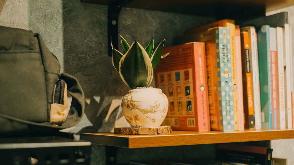 Vasos de cimento com plantas organizados em prateleira na decoração da casa