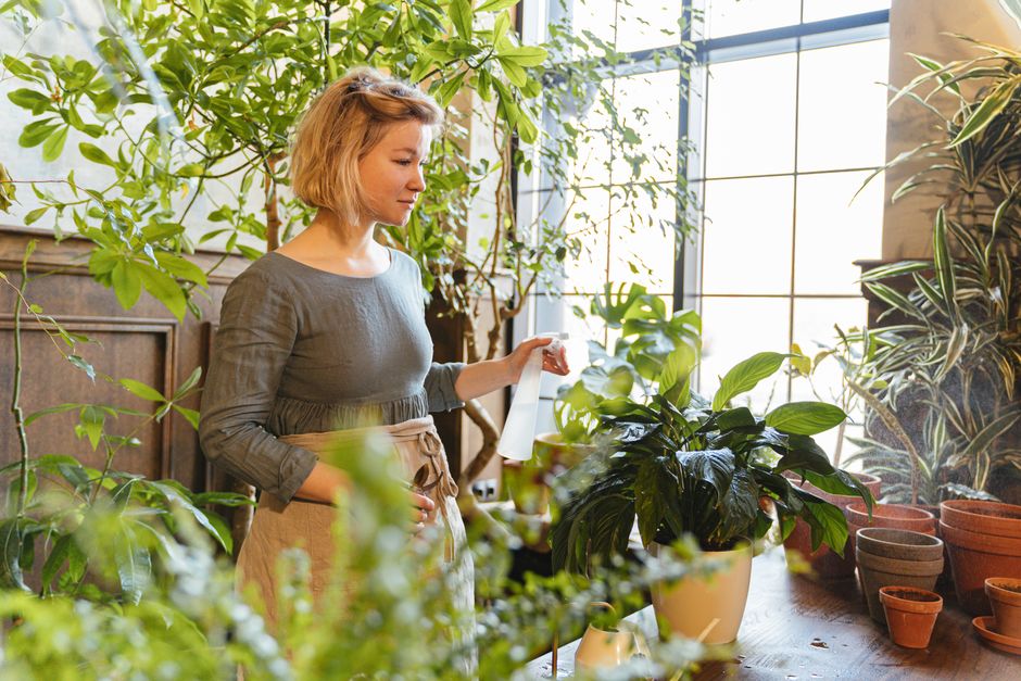 Ambiente com ar limpo, luz natural e plantas