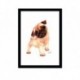 Quadro Poster Pop Art pug
