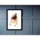 Quadro Poster Pop Art pug