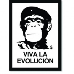 Quadro Poster Pop Art viva la evolucion