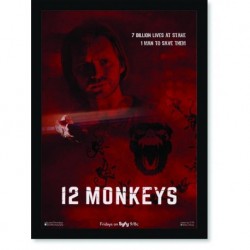 Quadro Poster Series 12 Monkeys 1
