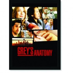 Quadro Poster Series Greys Anatomy 1