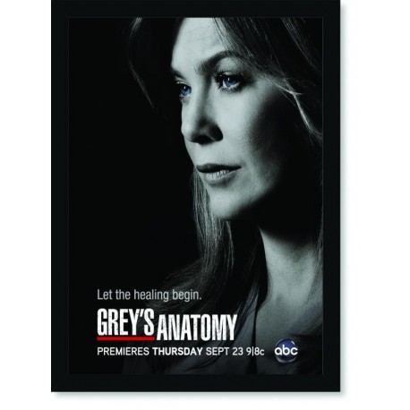 Quadro Poster Series Greys Anatomy 2