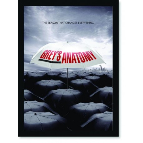 Quadro Poster Series Greys Anatomy 3