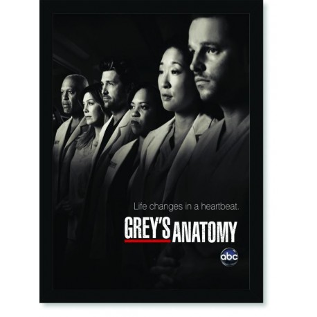 Quadro Poster Series Greys Anatomy 4