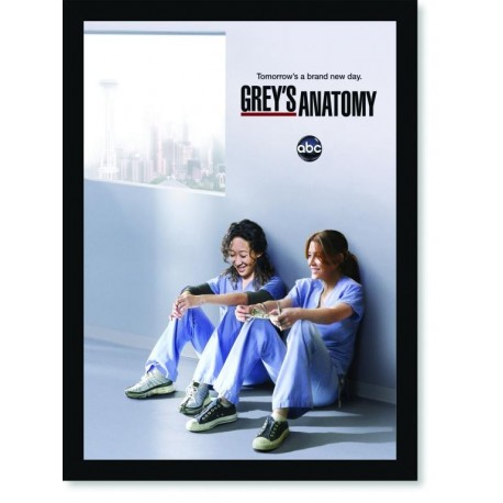 Quadro Poster Series Greys Anatomy 6