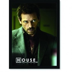 Quadro Poster Series House 1