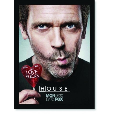 Quadro Poster Series House 7