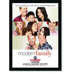 Quadro Poster Series Modern Family 5