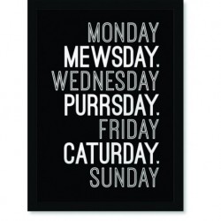 Quadro Poster Frases Monday Mewsday