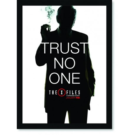 Quadro Poster Series Arquivo X 1