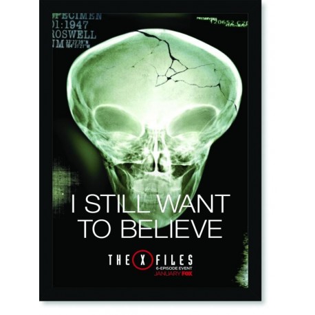 Quadro Poster Series Arquivo X 2