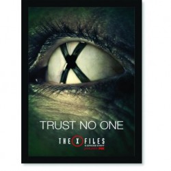 Quadro Poster Series Arquivo X 1