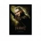 Quadro Poster Filme Hobbit 05
