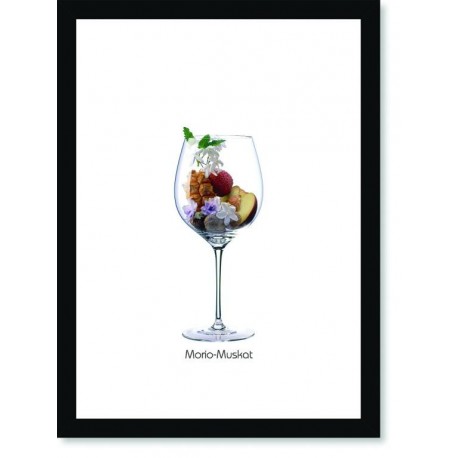 Quadro Poster Vinhos e Sabores Morio Muskat