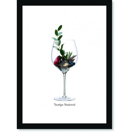 Quadro Poster Vinhos e Sabores Touriga Nacional