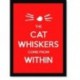 Quadro Poster Frases The Cat Whiskers