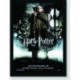 Quadro Poster Filme Harry Potter e o Calice de Fogo 01
