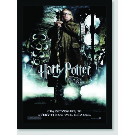 Quadro Poster Filme Harry Potter e o Calice de Fogo 01