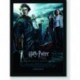 Quadro Poster Filme Harry Potter e o Calice de Fogo 02