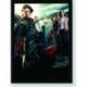 Quadro Poster Filme Harry Potter e o Calice de Fogo 03