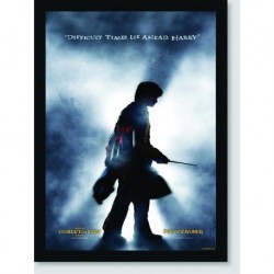 Quadro Poster Filme Harry Potter e o Calice de Fogo 05