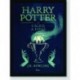 Quadro Poster Filme Harry Potter e o Calice de Fogo 06