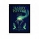 Quadro Poster Filme Harry Potter e o Calice de Fogo 06