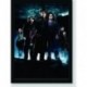 Quadro Poster Filme Harry Potter e o Calice de Fogo 07