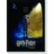 Quadro Poster Filme Harry Potter e a Camara Secreta 01
